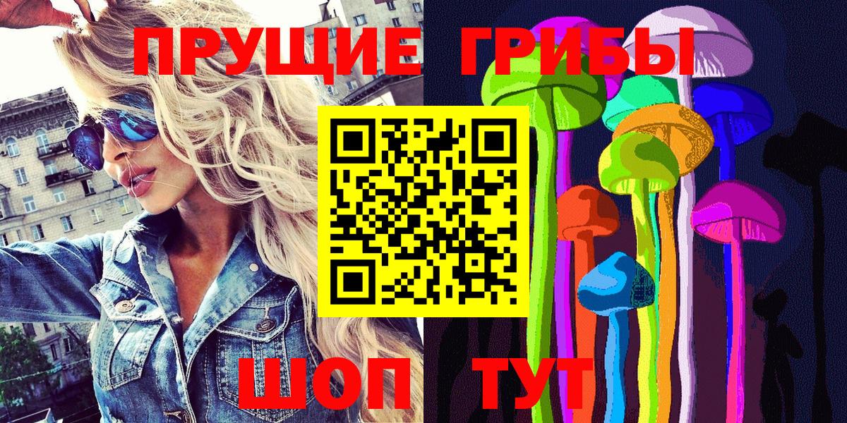 Псилоцибиновые грибы Psilocybe Можайск