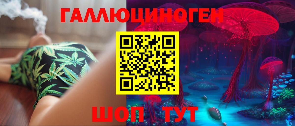 купить   Вход с VPN  Псилоцибиновые грибы Psilocybine cubensis  Можайск  Псилоцибиновые грибы Psilocybine cubensis 
